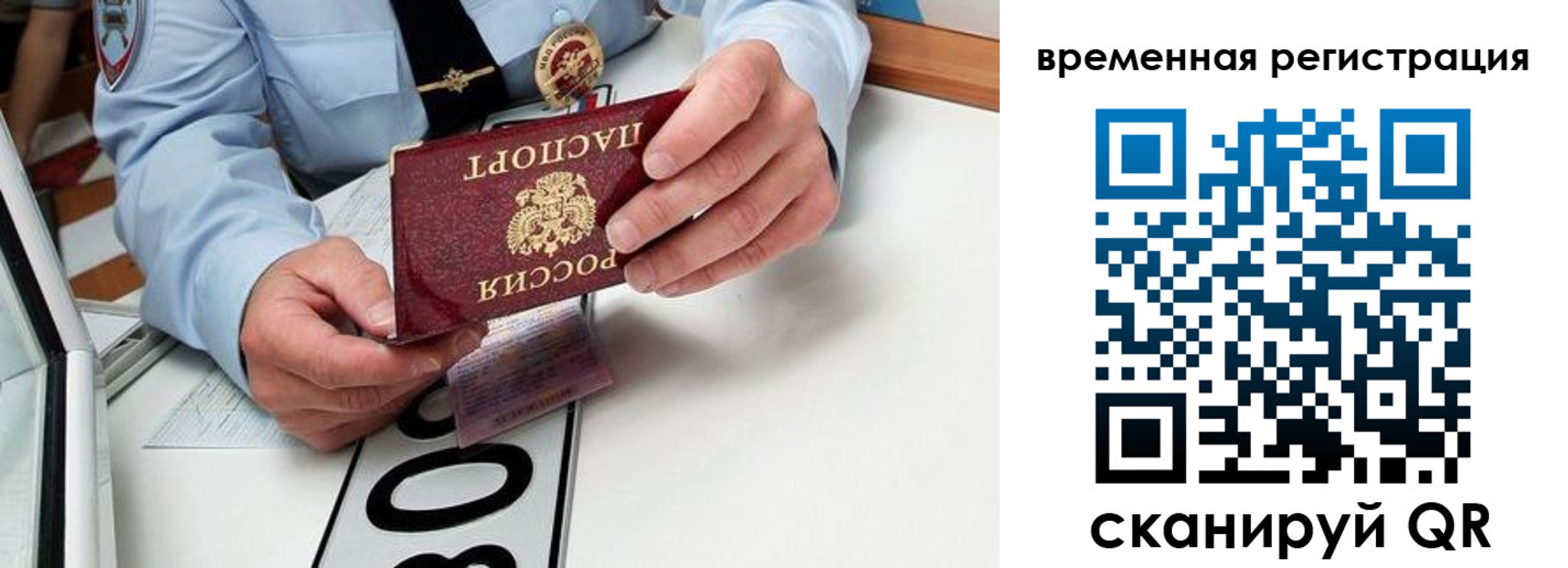 прописка гарантия в Котласе